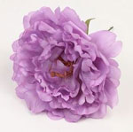Peony Feria. Flamenco flowers. Purple. 11cm 3.640€ #504190086VLT